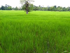 タイの田舎暮らし２