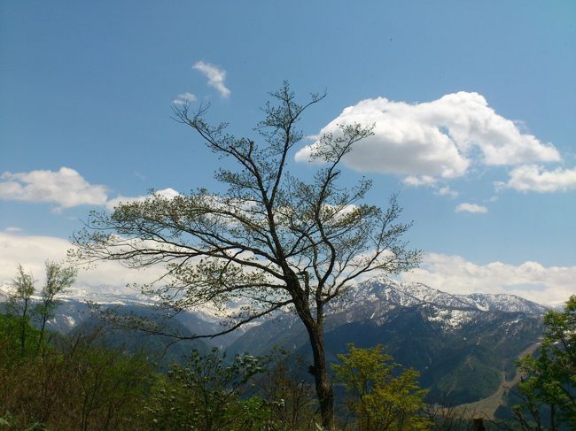 120503-06 立山家族旅行（来拝山登山他）行動記録