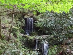 新緑の大原　京都～古知谷阿弥陀寺～