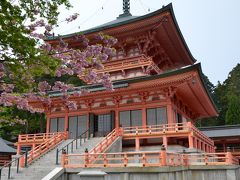 山頂の庭園と満開の桜 in Siga