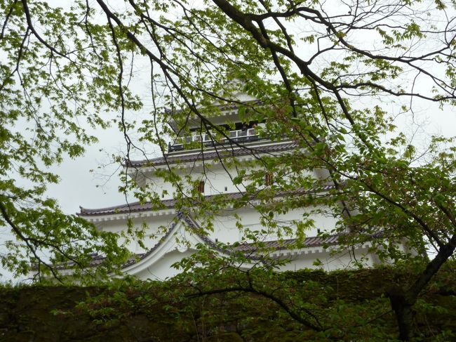 ゴールデンウウィークはどこも混むのであまり遠出をしないのですが、今年は「福島を応援しに行こう！」<br />直接的には何も出来ませんが、観光地に行って、温泉に入って、お土産買ってなどなど・・・<br /><br />空いていると思っていましたが・・・<br /><br />そういう気持ちの人が沢山いらしたようで、お目当ての旅館は満室、他もあたりましたがどこも満室で、やっと磐梯熱海温泉の「華の湯」を予約出来ました。<br />山に登る為に来ていた福島、今回は塔のへつり、大内宿、鶴ヶ城、浄土平、花見山を観光してきました。