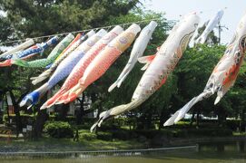2012春、ツツジ満開の中村公園(2/2)：中村公園、鯉のぼり、八幡社、豊公神社、太閤池