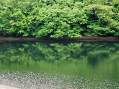 お散歩気分で山歩き♪