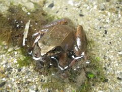 滋賀県寺社めぐり