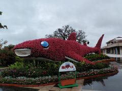 楽しさいっぱい！海洋博公園