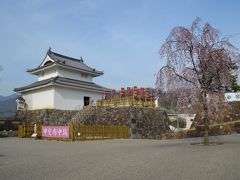 桜が満開の舞鶴城公園（甲府城）を訪ねて