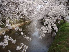 2012 GW 東北温泉旅行　②　～八幡平から弘前へ桜を求めて～