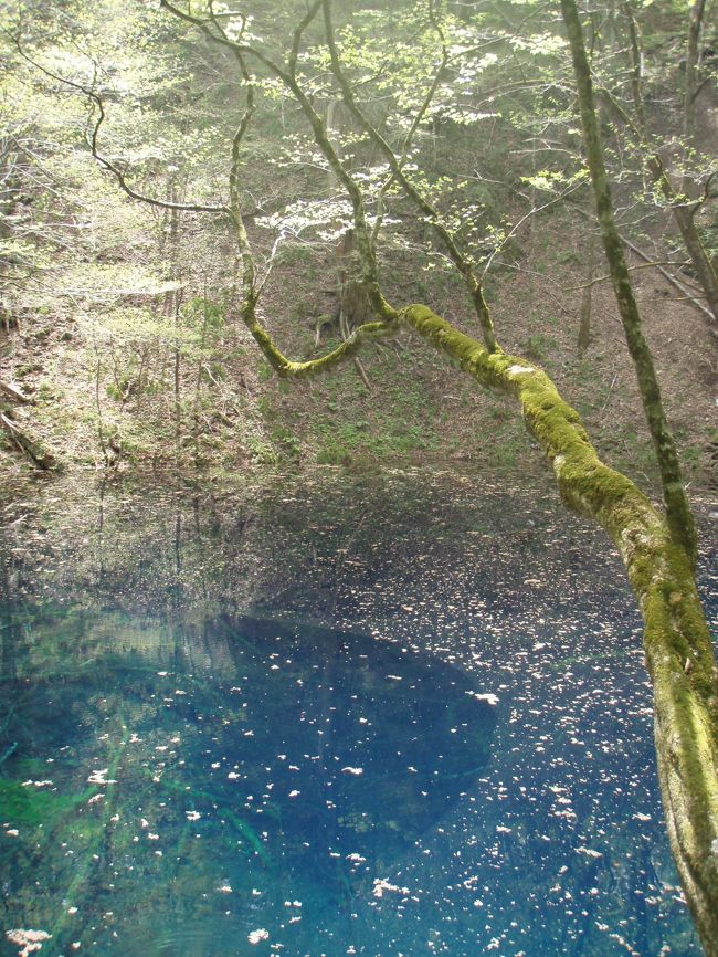 2012 GW 東北温泉旅行　④　～青森から秋田へ～