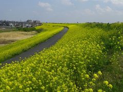 「中山道No20」見聞録（深谷宿～大宮宿）