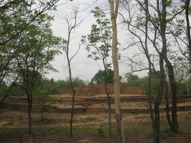 ＜３日目＞<br />さて、今日からやっと観光。<br />今回の旅の目的地の一つ、ベイタノー遺跡。なにがあるんだろうね。