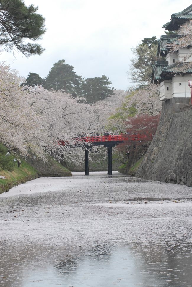 　今年の弘前、満開が５月２日、その日に散り始めた<br /><br />　短い・・・春爛漫！！！<br /><br /><br /><br />【YANAI&#39;s HOME 2012.5　弘前・桜 】<br />　　　↓<br />http://yanai.la.coocan.jp/index120502hirosaki.htm<br /><br /><br /><br /><br />・・・・・おまけ！・・・・<br /><br />【YANAI&#39;s HOME 2012.5 青森　YOSAKOIソーラン】<br />　　　↓<br />http://yanai.la.coocan.jp/index120505aomori.htm<br />