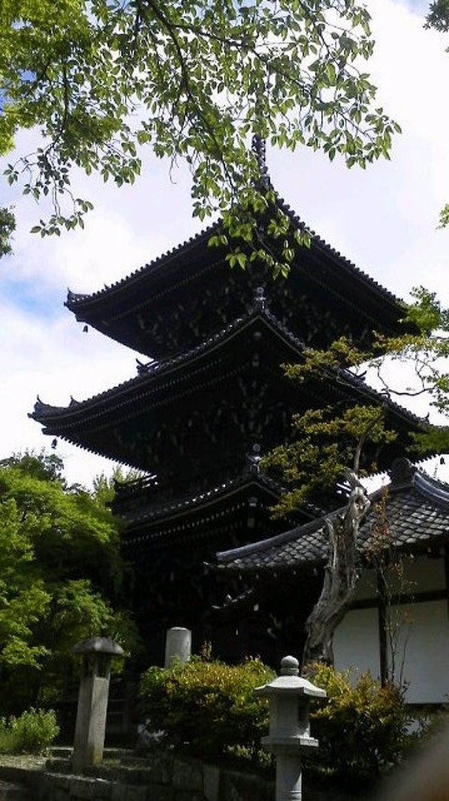 新緑のまぶしい五月の初旬、京都市内を友人と2人、自転車で巡ってきました。<br />見どころ満載の京都ですが、気になるスポットを巡るにはどうしても乗り物の利用が欠かせませんよね。<br />とはいえ、特に観光シーズンともなると、バスは混雑し、タクシーや自家用車は渋滞に巻き込まれ…と、移動のたびにモヤモヤ、グッタリする方も少なくないと思います。<br />そんなわけで、私は効率の良いレンタサイクルでの移動を提案します。<br />ルートと時間帯にさえ気をつければ、混雑＆渋滞知らずの京都観光が満喫できますよ！<br /><br />美しい街並みと歴史情緒溢れるスポット、豊かな緑がいっぱいの京都。<br />風を感じながら、自転車で巡ってみるのはいかがでしょう？<br /><br />☆こちらの【中篇】では、京都市勧業館(みやこめっせ)～荒神口～京都大学～吉田山(宗忠神社)～真如堂までのルートをご紹介しています。<br />☆【前篇】(三条～南禅寺・水路閣・琵琶湖疏水)はこちらから<br />http://4travel.jp/traveler/tsurumarco/album/10669580/<br /><br />★巡回ルート・到着時間まとめ★　自転車旅行計画の際に参考にしてください～<br />※私は深夜高速バスで東京→京都へ移動。朝早くからの行動開始をおすすめします。<br />高速バスはさすがにしんどいな…という方には、前泊がおすすめです！<br /><br />＊07:00 朝の腹ごしらえ：イノダコーヒ本店<br />＊09:00 三条駅前でレンタサイクル手配<br />＊09:30 南禅寺水路閣～琵琶湖疎水<br />＊10:30 みやこめっせ※イベント参加のため。同様のルートなら平安神宮または近辺の美術館・動物園めぐり、もしくは哲学の道往復で銀閣寺散策はいかがでしょう<br />＊12:00 かもがわカフェ＠荒神口<br />＊13:30 京大正門前<br />＊14:00 宗忠神社※自転車ルートの都合上吉田神社は通過。時間があればぜひ参拝を！<br />＊14:30 真如堂※時間があれば金戒光明寺への参拝もおすすめ <br />＊15:00 東大路通り(熊野神社前の交差点)※このまま東大路通りを直進するのは混雑のため危険！おすすめしません。丸太町通りを鴨川方面に直進し、川端通りor鴨川に降りて南下、が安全です。<br />＊15:30 六波羅蜜寺<br />＊16:00 五条・半兵衛麩(麩まんじゅうなど手土産購入)<br />＊16:30 三条駅(レンタサイクル返却)<br /><br />写真は吉田山を越えると現れる紅葉の名所、真如堂の三重塔。