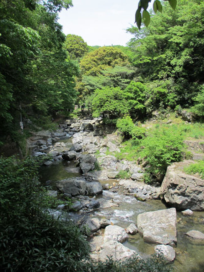 もうそろそろホタルの季節ですね。<br />大阪では摂津峡公園がホタルで有名という噂を聞ききました。<br />今日は天気も良かったので、<br />散策を兼ねてハイキングに行くことに。<br />公園と記載されていたので、人工的な場所かと思いきや、<br />かなり本格的なハイキングができます。<br />これならホタルも見れそうです。<br />ただ開放的な場所ということと、<br />蛍の時期人で混みあうということで、<br />かなりピンポイントの時期に行かないと見れなさそうですね。<br />楽しみです！