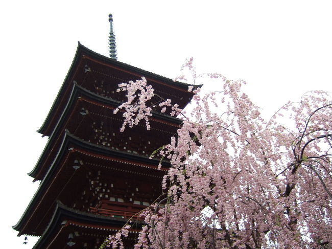 桜が綺麗なのは、弘前城だけじゃない！ってことで、<br />近くの史跡も回ってみました。