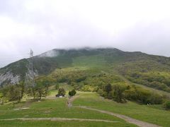 新緑の５月　山野草に身も心も癒されて