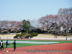 吉祥寺界隈（2011.4.1～4.15）