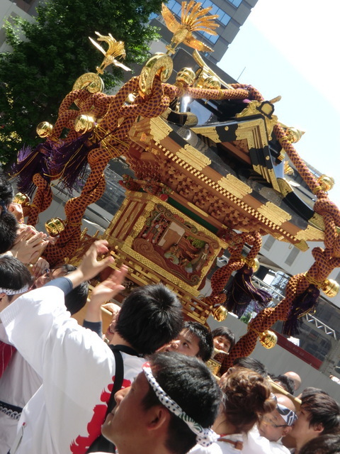 ５月１３日(日)、母の日・・・<br /><br />朝から、抜けるような青空だった。<br /><br />この日は、東京・八重洲に用事があり、その後、いいお天気ならば皇居・東御苑の日本庭園に花を見に行こうと思っていた。<br /><br />しかしツツジや藤はすでに終わり、菖蒲はまだという状態で、花を楽しむことはできませんでした。<br /><br />でも、青空のもと、広々とした皇居で、鮮やかな新緑を楽しむことができ、気持ちの良いひと時を過ごすことができました。<br /><br />おまけに「神田祭」の「神輿宮入」？にも遭遇、充実した「ひとり母の日」を過ごしたのでした。<br /><br />