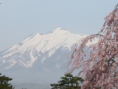 東北さくら紀行