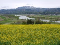 GW・北信州旅行2日目☆いいやま菜の花公園☆ 