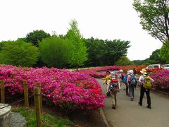 あつぎつつじの丘公園