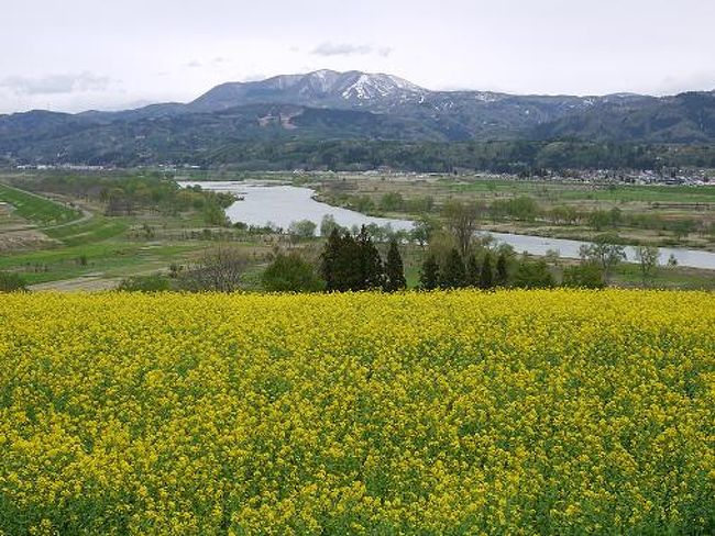 Gw 北信州旅行2日目 いいやま菜の花公園 飯山 栄村 長野県 の旅行記 ブログ By ちゃちゃさん フォートラベル Gw 北信州旅行2日目 いいやま菜の花公園 飯山 栄村 長野県 の旅行記 ブログ By ちゃちゃさん フォートラベル