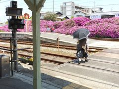 ＪＲ豊浜駅の躑躅｜平成２４年