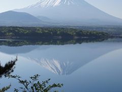 富士山を撮る（富士芝桜まつり、富士五湖）