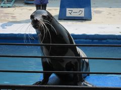 南仏のような宿でのんびり過ごしましょ！　その翌日は鳥羽周遊＆イルカ島で！くータンイルカにびびるの巻