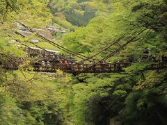 ２０１２：ＧＷたび・その3 吊り橋を渡ろう！第3弾　『恐怖のかずら橋』へ。