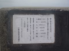 毎年恒例の潮干狩り　IN　坂井海岸