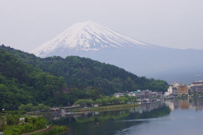 学生時代の友とその家族と4人で河口湖から西湖周辺を観光してきました。2日間共天候には恵まれ快晴でとても暑かったです。普通の観光客がする観光では面白くない。青木ヶ原樹海周辺の鉱物・植物(コケ植物)分布の様子観察・火山岩による電波伝搬以上について友と一緒に観光しながら再学習してきました。楽しかった。本当に色々疑問に思っていたことが少しでもわかるって得したような気がしました。それと観光地には香港からの観光客がいて私には中国語会話練習で超得しました。宿泊した美富士園はとてもきれいな河口湖湖畔にあり富士山とてもきれい、そして料理美味しかった。露天風呂超リッチ。今までの疲れが吹っ飛んだような気がします。最後に目的を持って計画に沿った旅行って最高でしたよ。