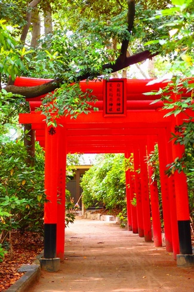 博多区住吉にある住吉神社をぶらりと訪問。<br /><br /><br />住吉神社<br />福岡市博多区住吉3丁目1-51<br />092-291-2670<br />