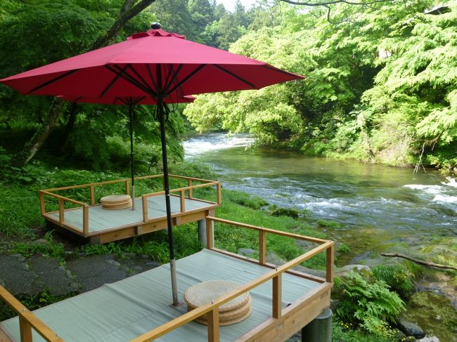 温泉大好きな私のお気に入りは地元の山中温泉です。<br />５月は温泉三昧で加賀温泉郷と言われる粟津温泉、片山津温泉、山代温泉と巡り残すは山中温泉となりました。<br />やはり何度来てもいいですね。<br />山、川、緑の中にこじんまりとあるのがここ山中温泉です。<br />いつもの常宿でゆったり温泉に浸かり、美味しい郷土料理を頂く。<br />