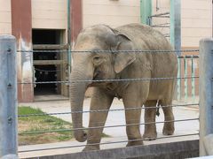 のんほいパーク 豊橋総合動植物公園 へ行く