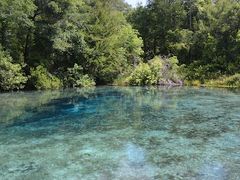 Ichetucknee Springs　（2012年GWの旅行記）