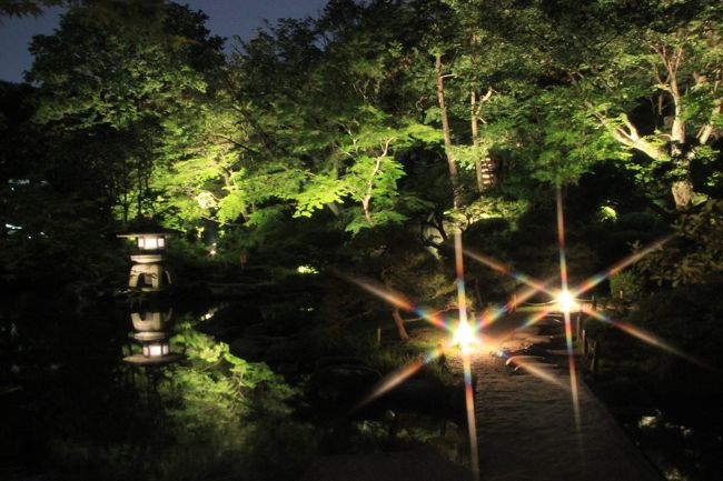 旧古河庭園は、洋館の周りの洋風庭園のバラ園が最もすばらしいと個人的に思いますが、日本人作庭者・小川治兵衛（1860〜1933）による日本庭園も楽しみです。<br />秋バラのときに楽しめる秋の紅葉の時が一番見応えがあるのではと思いますが、緑が美しい今もすばらしいです。<br />緑が日の光に透けるような時間帯に散策できればなお良かったのですが……バラに夢中になってしまい、昼も夜も日本庭園の散策は駆け足気味となりました。<br /><br />灯りがあるとはいえ、20時過ぎた日本庭園は、肉眼ではほとんど真っ暗でした。<br />でも、カメラはそれを、露出をうんと明るく自動調整して撮るので、見た目と印象の違う景色の写真が撮れて面白かったです。<br />しかも、念のために持参したクロスフィルターのキラキラが、日本庭園にあるまじき（！？）、現実にはない世界を見せてくれました。<br /><br />ただやはり、夜間は手ぶれぶれで、まともな写真はなかなかゲットできませんでした。<br />それに、最後にはシャッタースピードが遅くなりすぎたせいか、まだ今年買ったばかりの一眼レフなのにフリーズしてしまって、冷や汗をかきました。<br />バッテリーを抜いて強制終了したら復活してくれて、ほっとしました。<br />写真も無事でした。<br /><br />＜久しぶりの旧古河庭園の2012年春バラ旅行記の構成＞<br />□（1）まぶしい日差しをまとった昼のバラ園<br />□（2）夜のライトアップの艶やかなバラ園<br />■（3）日本庭園の昼と夜の姿<br /><br />※旧古河庭園の公式サイト（東京都公園協会「公園へ行こう！」）<br />http://www.tokyo-park.or.jp/park/format/index034.html<br /><br />＜これまでの旧古河庭園の旅行記＞<br />2010年10月16日<br />「嬉し恥ずかし一足早い秋バラ詣──２年ぶりの旧古河庭園にて・その５」<br />http://4travel.jp/traveler/traveler-mami/album/10512011<br />2008年11月１日<br />「嬉し恥ずかし今年２度目の秋バラ詣───旧古河庭園にて・その４：日が翳った後の花と日本庭園再び」<br />http://4travel.jp/traveler/traveler-mami/album/10286418/<br />「嬉し恥ずかし今年２度目の秋バラ詣───旧古河庭園にて・その３：秋の輝く日ざしのもとで」<br />http://4travel.jp/traveler/traveler-mami/album/10286397/<br />2008年５月23日<br />「嬉し恥ずかし春バラ求めて───旧古河庭園にて・その２」<br />http://4travel.jp/traveler/traveler-mami/album/10243608/<br />2007年11月14日<br />「嬉し恥ずかし秋バラ第２弾───旧古河庭園にて」<br />http://4travel.jp/traveler/traveler-mami/album/10197297/<br />