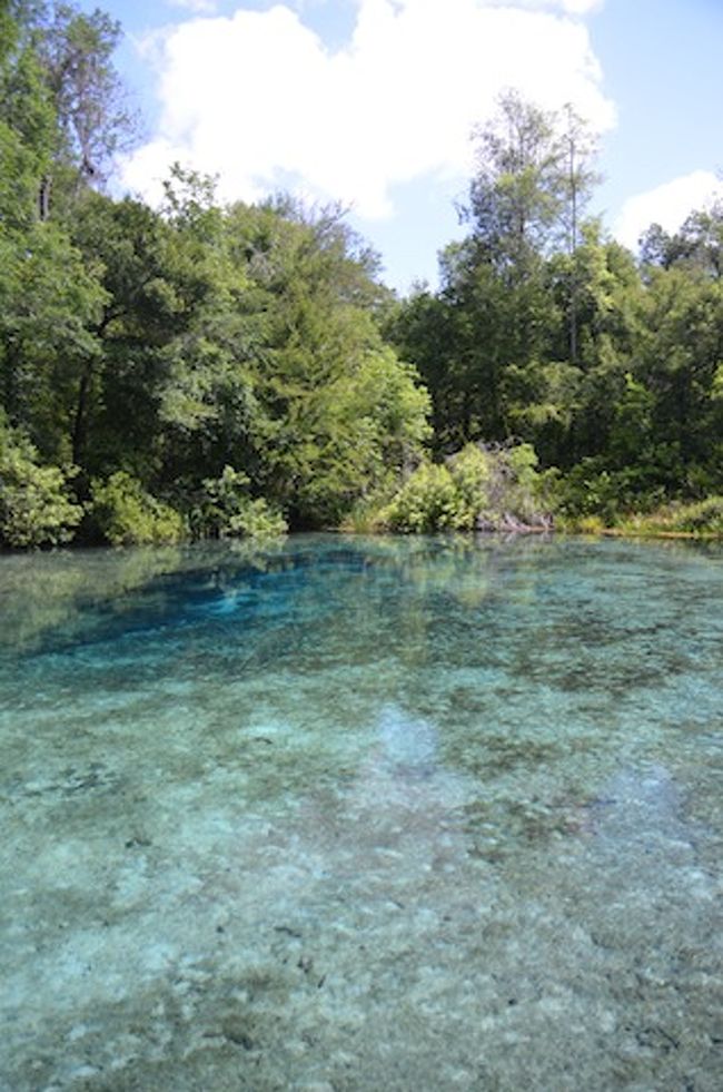 Ichetucknee Springs　（2012年GWの旅行記）