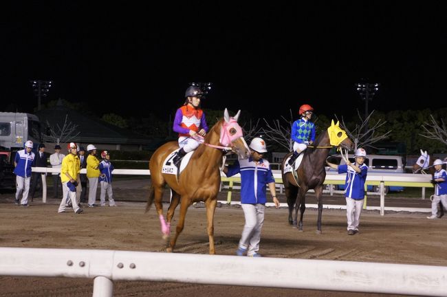 職場のグループで、中山競馬場に出かけました。ただ、私のお目当ては競馬ではなく、馬とか場内の雰囲気を見ること。それだけでも、スカッとした気分になりました。<br />特に、ライトアップされた光景は予想以上にきれい。美しい競走馬の姿が強く印象に残りました。