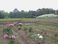 岡山周遊　その１３旅の終わり　　岡山後楽園に戻って旅を終えました