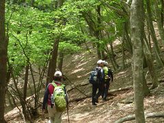 幻の花クマガイソウを探して　御池岳逍遥　そしてお鍋も♪