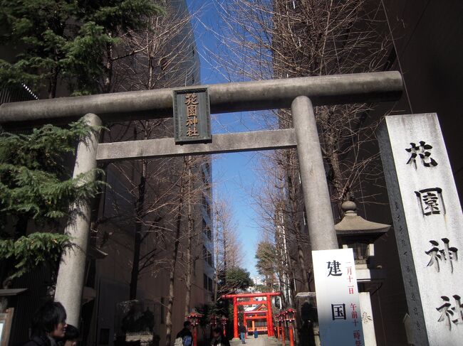 新宿の歓楽街歌舞伎町に近い花園神社（はなぞのじんじや、東京都新宿区歌舞伎町）は新宿総鎮守として江戸時代に内藤新宿が開かれて以来の街の守り神として祀られています。<br /><br />花園神社は寛永年代（１６２４～１６４４）までは現在の場所より約２５０ｍ南、今の伊勢丹の付近にありました。寛政年代に朝倉筑後守という旗本がこの周辺に下屋敷を拝領したため、社地は朝倉氏の下屋敷に囲い込まれてしまいました。そこで幕府に訴えたところ、現在の場所を拝領する事になりました。その場所は徳川御三家筆頭の尾張藩下屋敷の一部で、たくさんの花が咲き乱れていたそうです。この美しい花園の跡に移転したので花園稲荷神社と呼ばれたのが社名の由来とされています。（花園神社縁起より）<br /><br />自分の居住地の関連で都心の拠点は現在も含めて新宿でして、当然ながら食事等には歌舞伎町界隈を利用することもあります。<br />そしてこの花園神社も当然知る事になりますが、永年に亘り参拝することなく今回が始めての立ち寄りとなります。<br /><br />