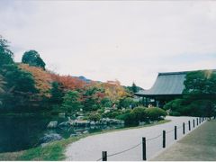紅葉の京都とUSJの旅 （京都編）