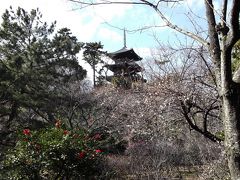 三渓園の梅　（２０１２年）