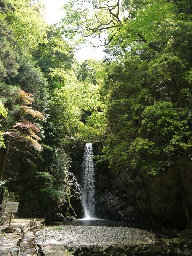 ホテルの近くにある、鼓が滝公園にも立ち寄ってみました。<br />昔は、滝をおちる水の音が鼓をたたいているように聞こえたのでこの名がついたそうですが、何度かの洪水により、落石が有ったり、地形や水流が変わったために、その音は聞こえなくなったそうです。<br /><br />遊歩道もありますが、車道もありました。<br />ただ、行き止まりになるので軽自動車ぐらいしか入れないと思います。