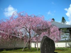 ２０１２　春の奈良の旅　　その１