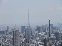 「東京都庁展望室」45階からの眺望　東京スカイツリー＆東京タワーも見れるのです。　新宿区　東京都