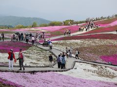 天空の花回廊「芝桜の丘」