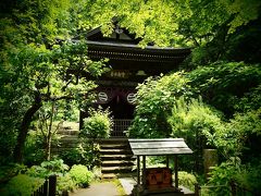 ぶらり鎌倉お散歩　北鎌倉から鎌倉駅まで　お寺めぐりと地ビールめぐりを楽しむ旅