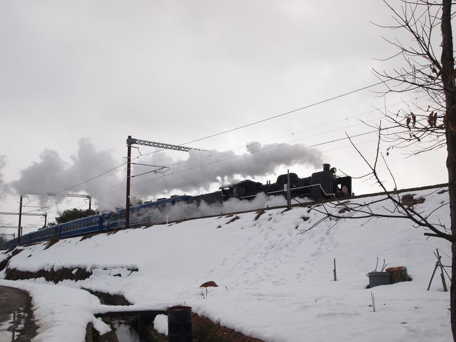 雪景色を走るＳＬを撮影したくて、長浜へ行きました。<br />ついでに、長浜観光もしてみました。