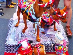 仙台青葉まつり　宵祭り、青葉神社御神輿渡御、本祭り